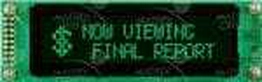 LK202-25-FG-E Matrix Orbital
