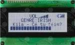 LK204-25-422-GW-VPT Matrix Orbital