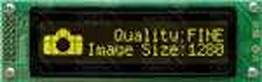 LK202-25-IY-E Matrix Orbital