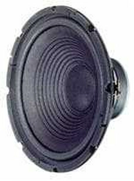 VISATON W 300 - 8 OHM image