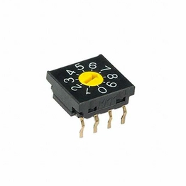 FR01FC10P-W-S NKK Switches