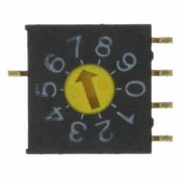 FR02FC10P-R NKK Switches