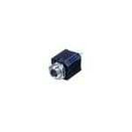 NYS2343 REAN