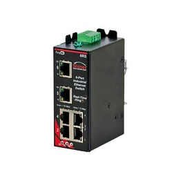 SL-6RS-1-D1 RED LION