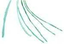 Q-PTFE-4AWG-02-QB48IN-5 Qualtek Electronics