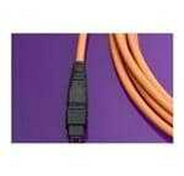 106284-1010 molex