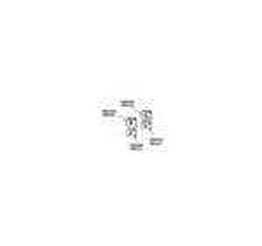 molex 0198032010 image