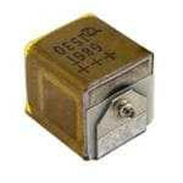 T22C156M100UZS Vishay Intertechnology