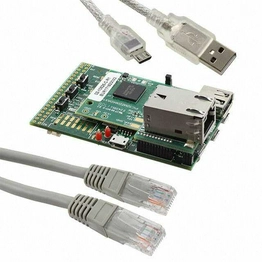DM320010-C Microchip Technology