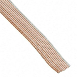 310J101-10 CICOIL