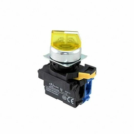 A22NW-2RM-TYA-G100-YC OMRON