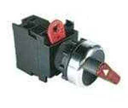 A22RW-2MR-24A-11 OMRON