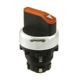 A22RW-2AY OMRON