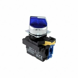 A22NW-2RM-TAA-G100-AC OMRON