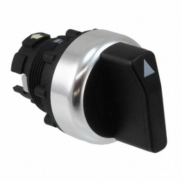 A22RS-3A OMRON