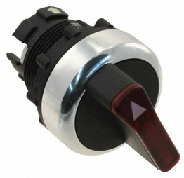A22RW-2MR OMRON