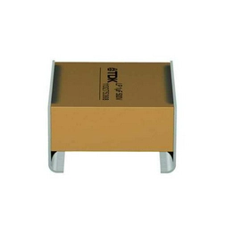 B58031U5105M002 TDK