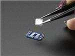 1762 Adafruit