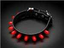 1454 Adafruit