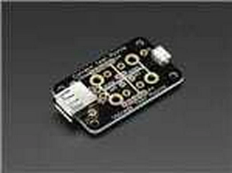 1456 Adafruit