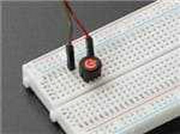 3104 Adafruit