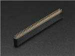 1544 Adafruit