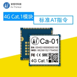 Ai-Thinker Ca-01 image