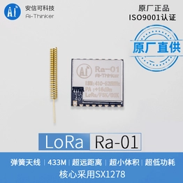 Ai-Thinker Ra-01 image