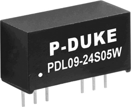 PDL09-24S05W P-DUKE