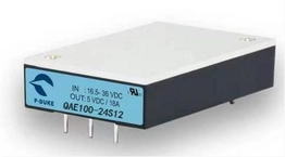 QAE100-24S12 P-DUKE