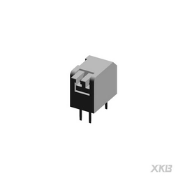DPL-02RP XKB Connectivity