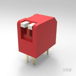 DPL-02RS XKB Connectivity