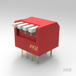 DPL-04RS XKB Connectivity