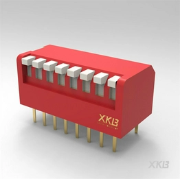 DPL-08RS XKB Connectivity