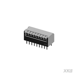 DPL-09RP XKB Connectivity