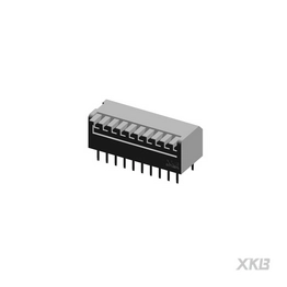 DPL-10RP XKB Connectivity