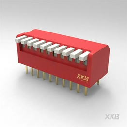 DPL-10RS XKB Connectivity
