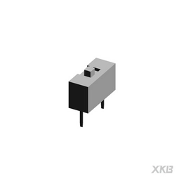DS-01RP XKB Connectivity