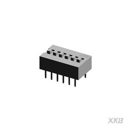 DS-06BLP XKB Connectivity