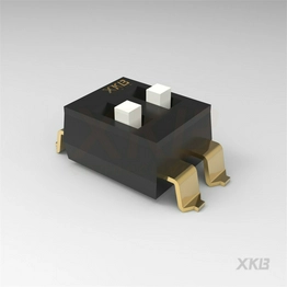 DSIC02LS-P XKB Connectivity