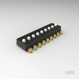 DSIC09LS-P XKB Connectivity