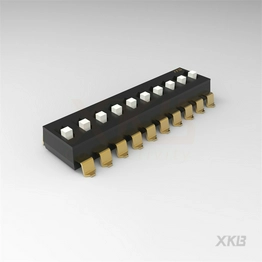 DSIC10LS-P XKB Connectivity