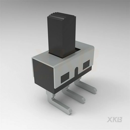 SS-12D06G8 XKB Connectivity
