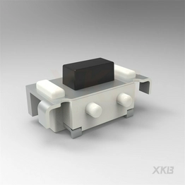 TS-1101VS-B-A-A XKB Connectivity