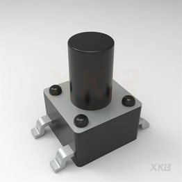 TS-1109S-B-G XKB Connectivity
