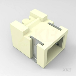 X1002WRS-02B1-9TSN XKB Connectivity