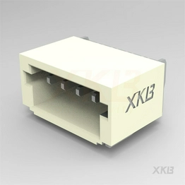 X1002WRS-04E-LPSWHF XKB Connectivity
