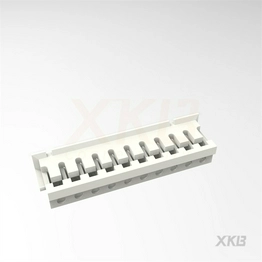 X1502H-10-N0 XKB Connectivity
