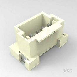 X2009WVS-04-9TSW XKB Connectivity