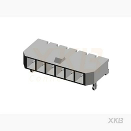 X3025WRS-06D-LPSW XKB Connectivity